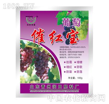 ��(r��n)��-���Ѵ߼t��