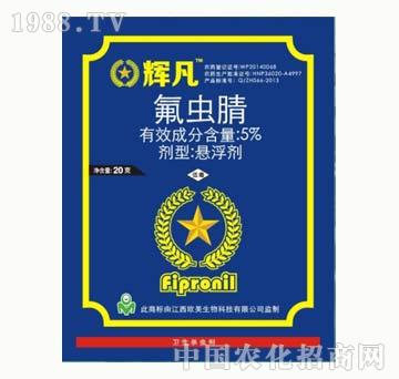 5%���x��-�x��-����