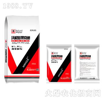 �ָ�������E20-10-30+TE-�������Q(m��o)