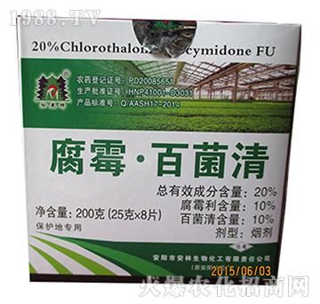 20%��ù�پ���-����