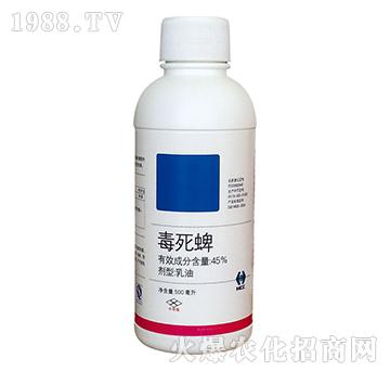 45%������-�A�̻���