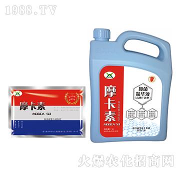 ����־����AҺ���ؼӴ���-Ħ����-��(qi��ng)о��(gu��)�H