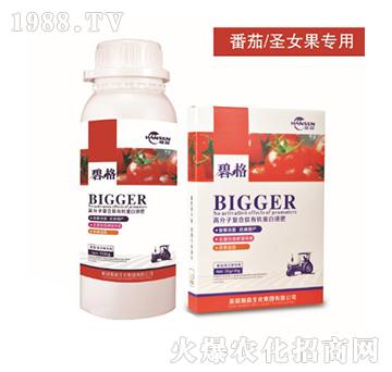 ����ʥŮ�����ø߷��ӏ�(f��)�����ЙC(j��)����Һ��-�̸�-�ɭ�r(n��ng)�I(y��)