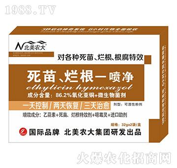 ����������һ����-�����r(n��ng)��