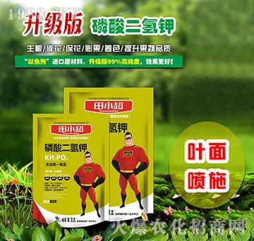 ��������-��С��