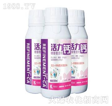 �Ǵ������}-�����}-����ֲ��