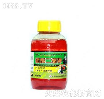 ��������-��?t��ng)����? width=