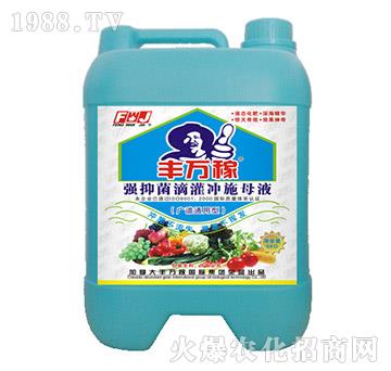 �V�Vͨ���͏��־��ι��_ʩĸҺ-�S�f��