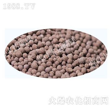 ʮ��Ԫ���w����-�S�_��