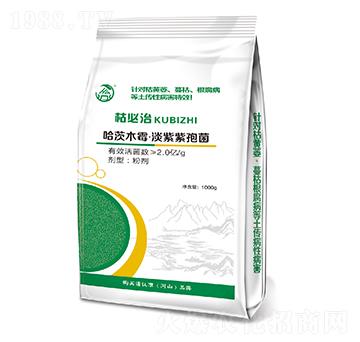 ���/��(x��)����������-�ݱ���-��ʢ��ɽ