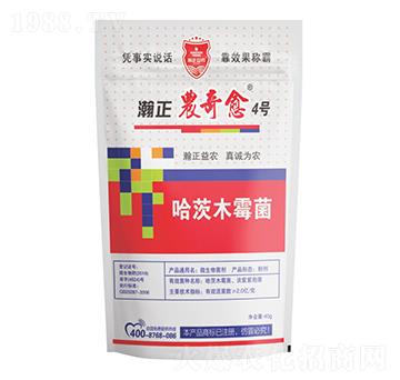 ����ľù��-����r(n��ng)����4̖-������r(n��ng)