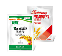 ����¡+������݄�