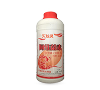 �����Y(ji��)���x��Ч���羀�`