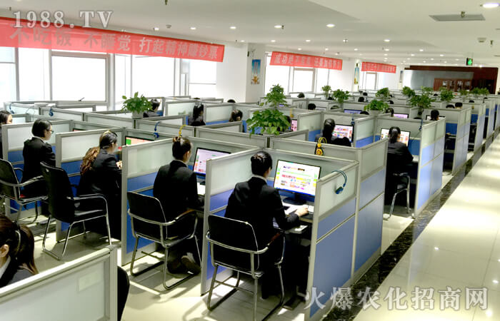 ����2016����2017��