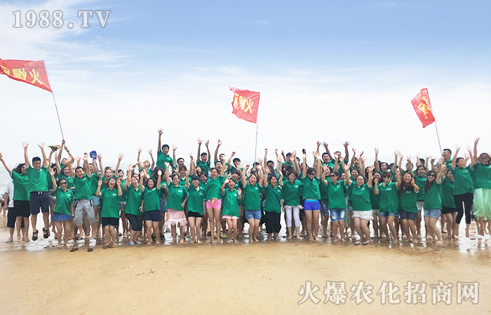 2017,全力以赴,做秀的自己!