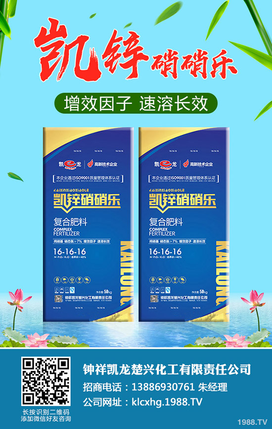 草莓肥害是什么原因,如何避免草莓肥害的發(fā)生?