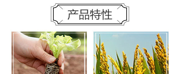 細胞分裂素-國豐健園_04