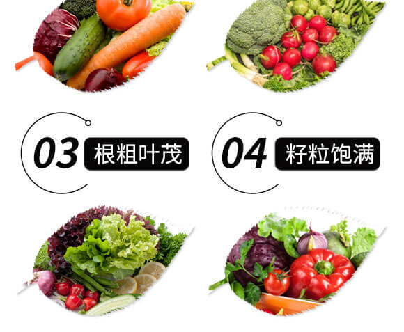 磷酸二氫鉀(10千克)-金可諾_05