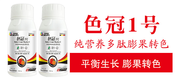 ���I�B(y��ng)��������Dɫ-ɫ��1̖-�P��˹_03