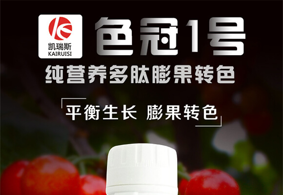 ���I�B(y��ng)��������Dɫ-ɫ��1̖-�P��˹_01