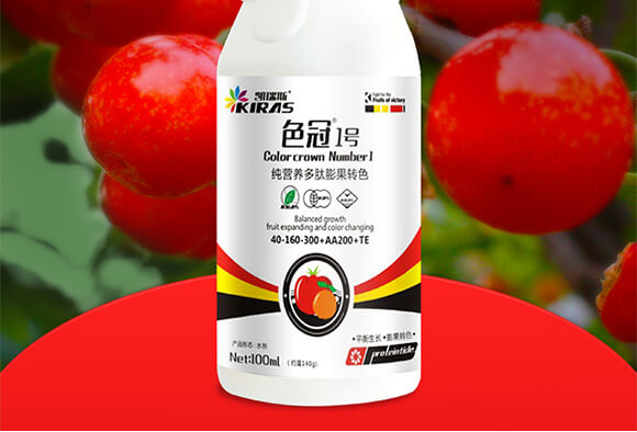 ���I�B(y��ng)��������Dɫ-ɫ��1̖-�P��˹_02