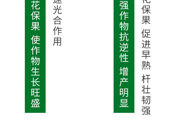 400g��������-Ӣ����_08