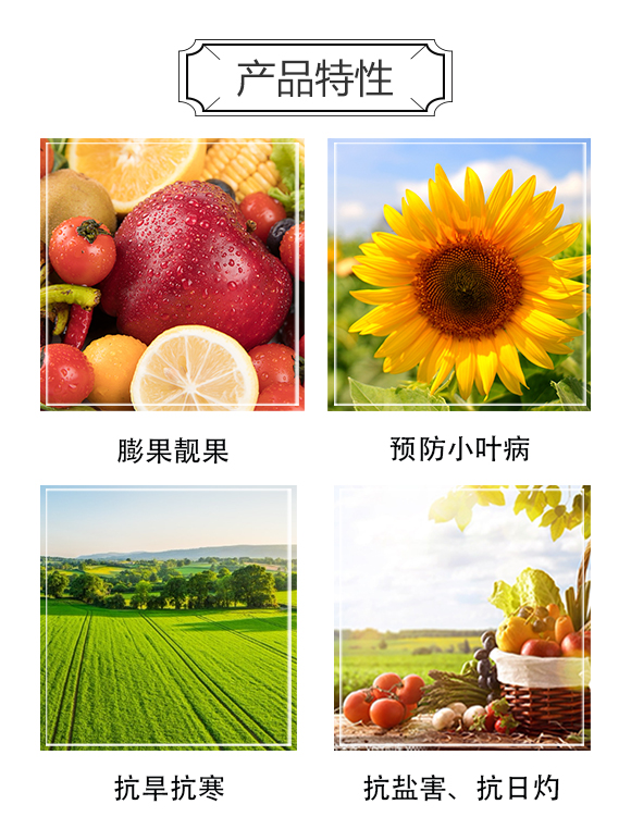 �������������ɷ����޹�˾2_03