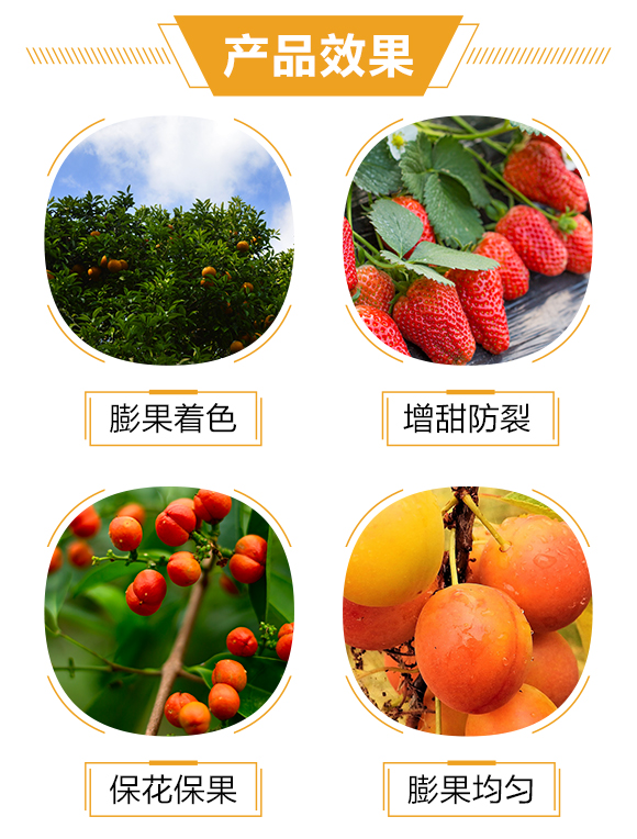 護(hù)果國際2_03