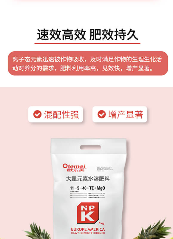 ����Ԫ��ˮ�ܷ���11-5-40+TE+MgO-�W����-������_04