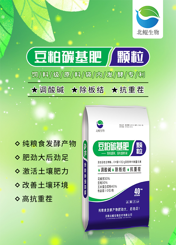 �w������̼����-���H����_01