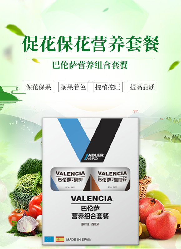 西班牙艾德拉股份有限公司1_01