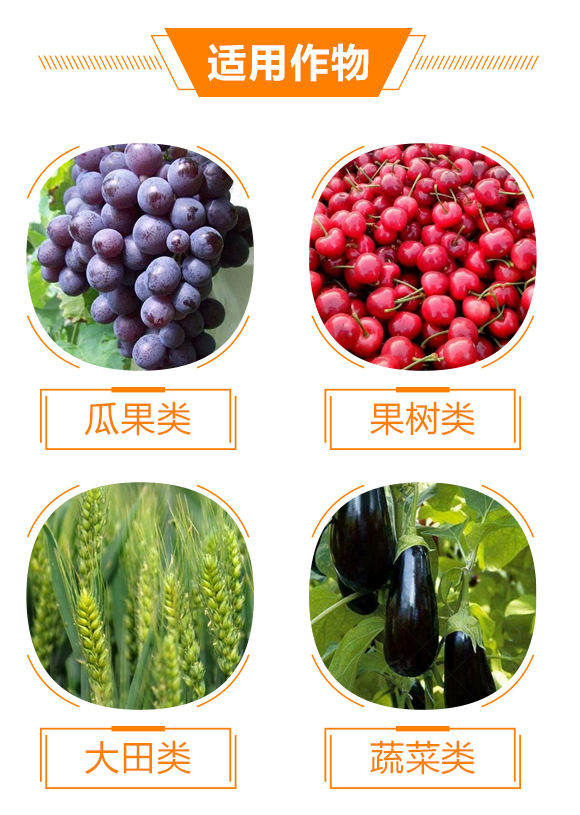 �ό����A���r(n��ng)�I(y��)�Ƽ�����؟(z��)�ι�˾1_05