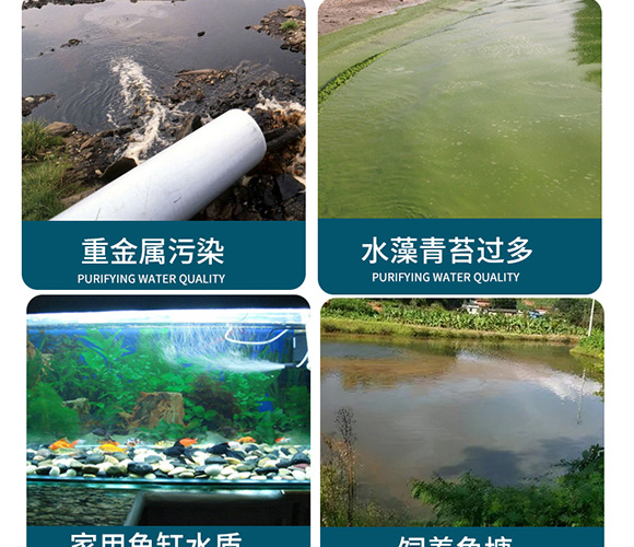 潤派底改凈水劑-潤派生物_04