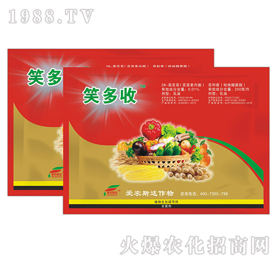 �|̦�؃�(n��i)֬-Ц����-���r(n��ng)˹�_(d��)