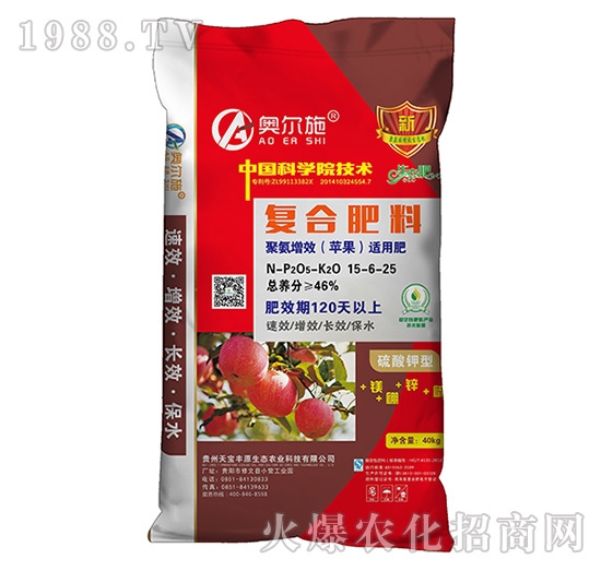 �O���ʏͺϷ���15-6-25-�쌚�S