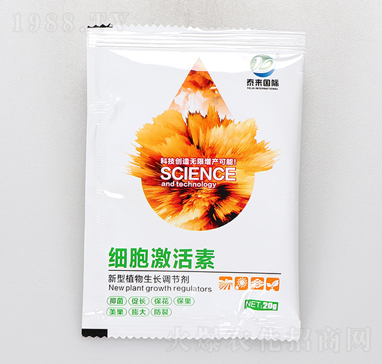 ����ֲ�����L(zh��ng)�{(di��o)��(ji��)��-̩��(l��i)��(gu��)�H