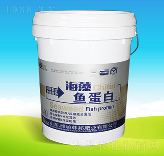 �����~����-�n��ʘI(y��)