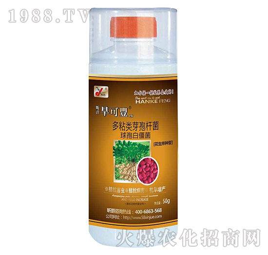 �����S1̖��������N����-꿾�