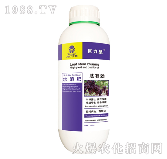 ���Є�ˮ�ܷ�-������-��������