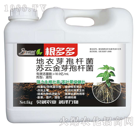 �����-�߲�ؐ��-��ķ�_(d��)