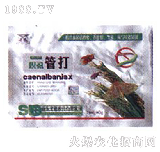 ��ʭ�ܴ�-ʥ�i