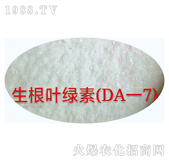 �����~�G�أ�DA��7��-�������