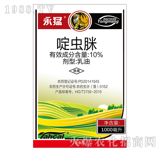 10%��x��-����-̩�̻���