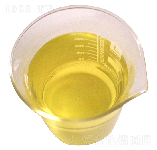 Һ�w��-ؐ����