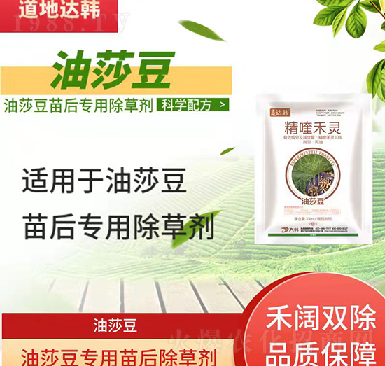 ��ɯ�����݄�-��ɯ�����-��ɯ������-���n