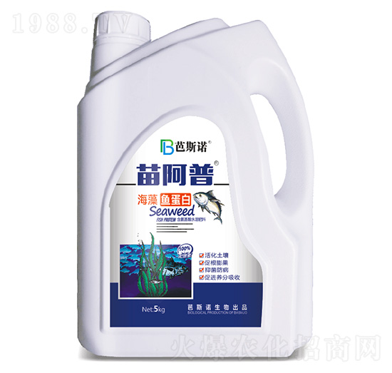 �����~(y��)����-�簢��-��˹�Z