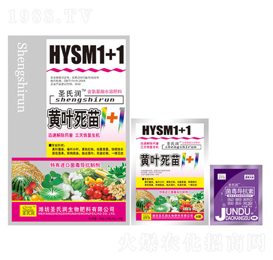 �S�~����1+1-ʥ�ϝ�(r��n)