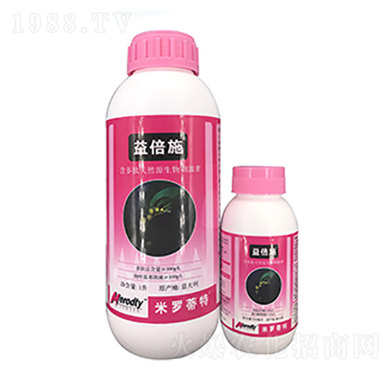 �汶ʩ-��(y��u)��˼