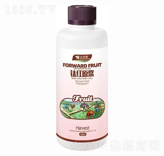 ⁼tԭ�{-�S�A��-�S�A�ʘI(y��)