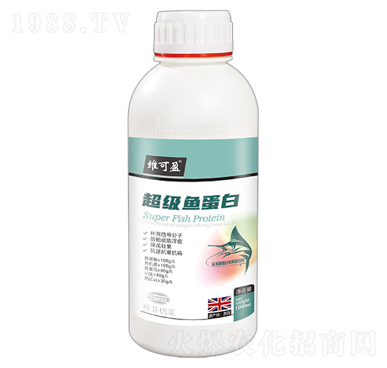 ����(j��)�~����-�S��ӯ-ِ�Ƹ��R